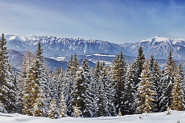 Winterurlaub in Niederösterreich Winterlandschaft - Wald und Berge im Hintergrund