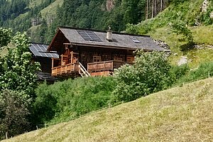 unsere Newcomer Almhütte umgeben von grünen Wiesen und Bergpanorama