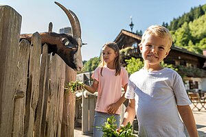 Urlaubsthema der Woche Ein fröhlicher Junge mit blonden Haaren lächelt in die Kamera, während er frisches Grünzeug in der Hand hält. Im Hintergrund steht ein Mädchen, das mit einer Ziege am Zaun interagiert, was eine entspannte ländliche Atmosphäre schafft.
