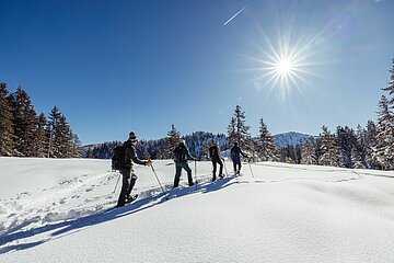 Almliesl Hüttenurlaub in den Bergen Eine Gruppe Winterwanderer genießt die Natur und die Sonne im Alpbachtal