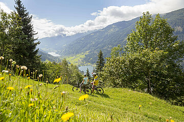Radfahrer in hügeliger Berglanschaft, auf der Almwiese ringsum wachsen Löwenzahn